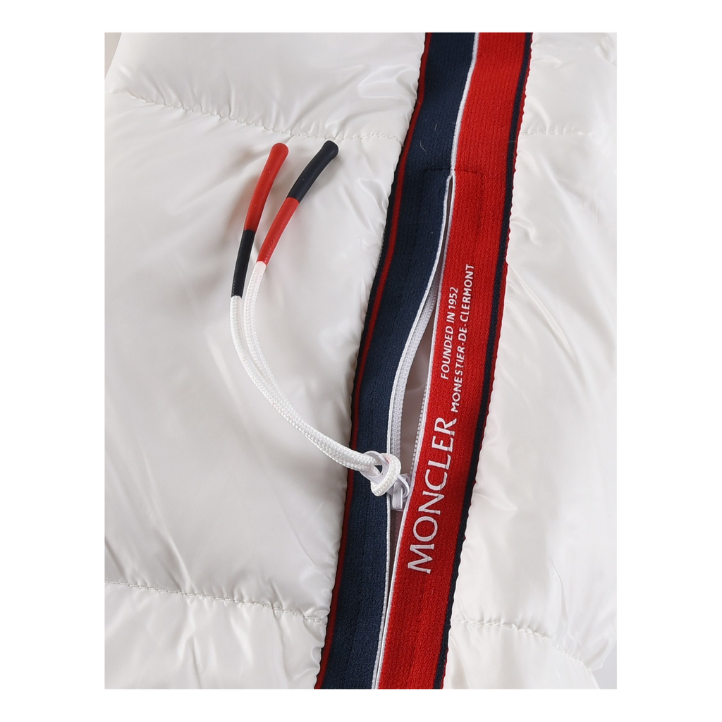 Moncler Tricolour Sleeve-Stripe Glossy Hooded Puffer Jacket | Premium Down | Luxury Outerwear