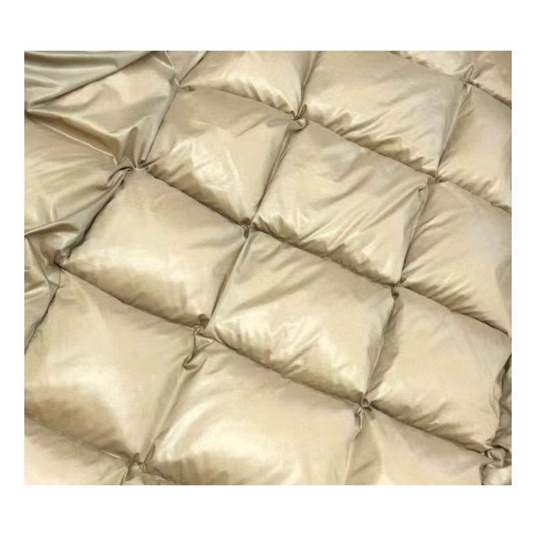 Moncler Gold-Lined Glossy Long Puffer Coat – Black | Premium Down | Luxury Outerwear